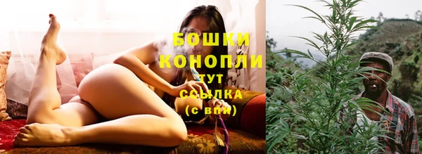 трава Сосновоборск
